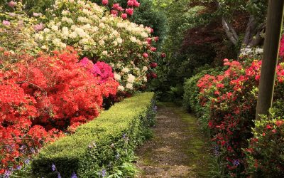 Gardens, visuals & senses