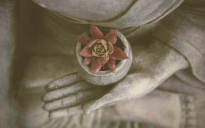 6 Ways To Increase Self-Confidence Simply Using Meditation