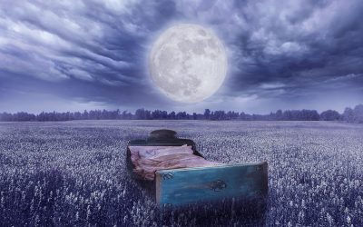 Sleep Is Essential For Health